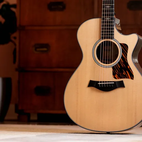 Taylor 414e-R ER2 2016年製 レア 早い者勝ち 次世代Taylor Guitars